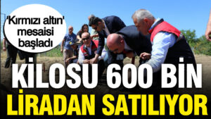 haber-gorseli-1787148485128